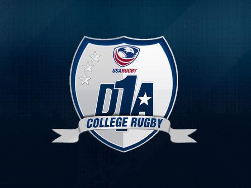d1a logo