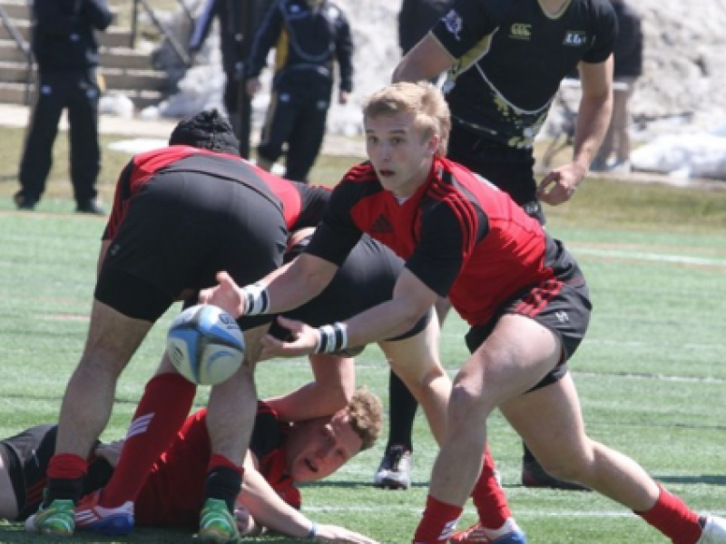 davenportvlindenwood2014