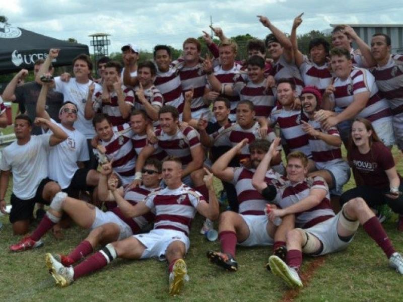 fsucelebrates