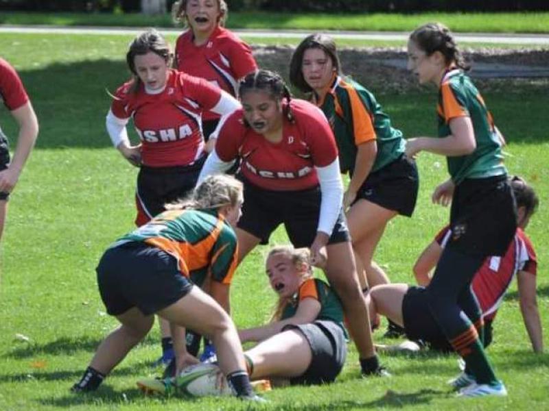 green bay v dsha