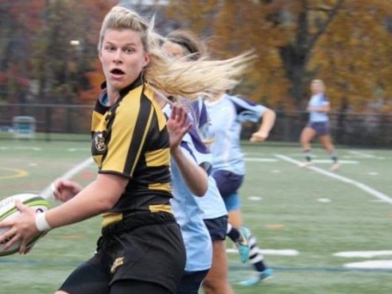 haleyschafer aic2014