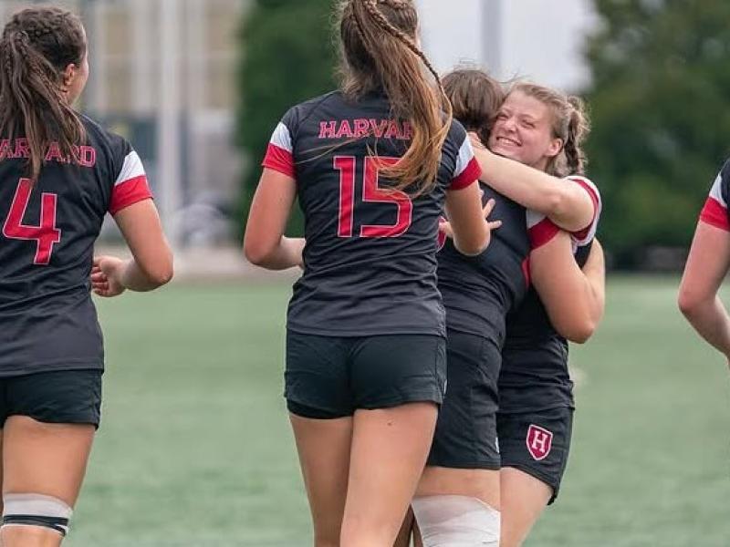 harvard hugging 2025