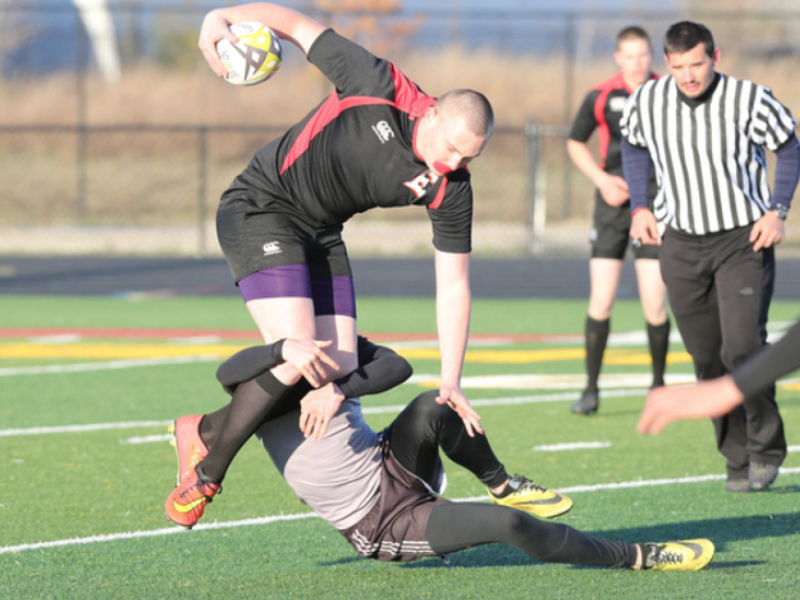 iowa7s2015 1