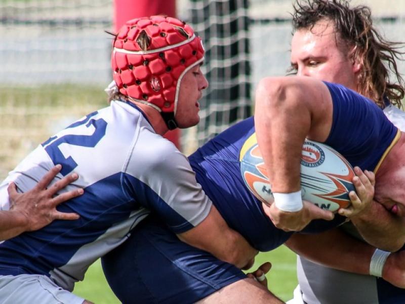 kc7s 2024 t chickens griff hastings 124