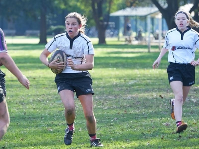 landparkharlequins2017 1