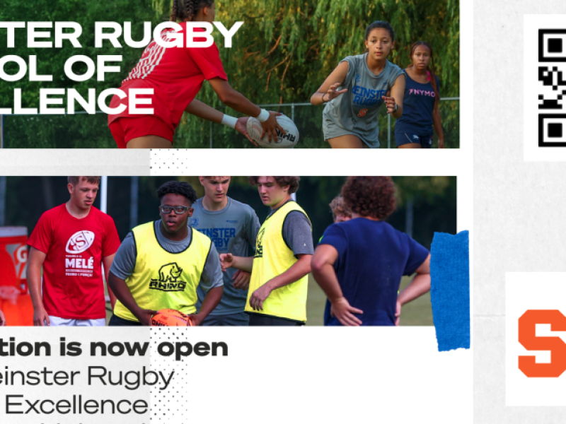 leinster soe article banner