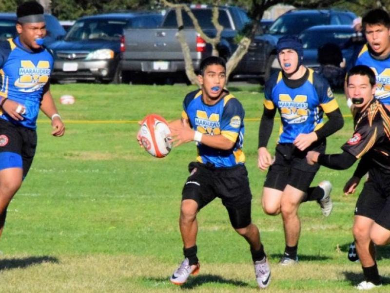 miramesa2017 3