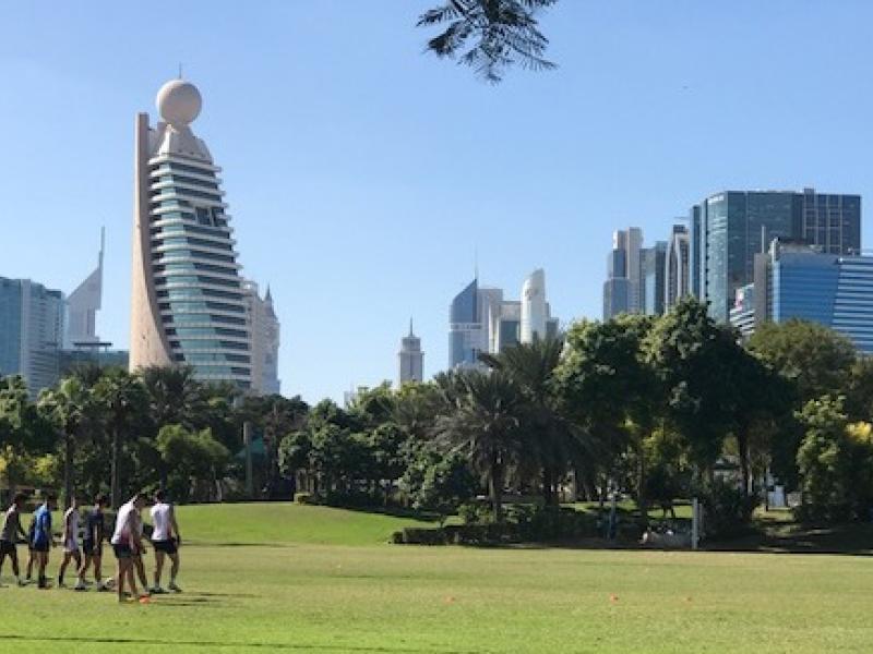 nalions dubai skyline