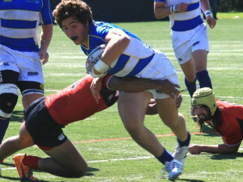 ndc andrew guerra