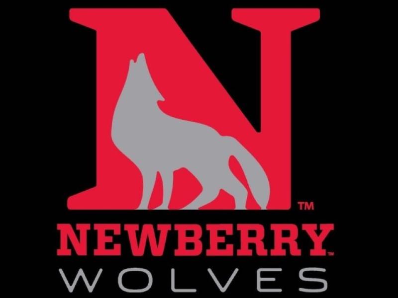 newberry wolves logo
