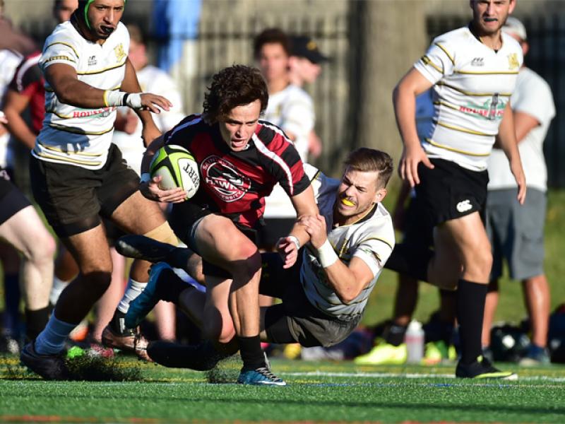 noah niu sju 2016 0