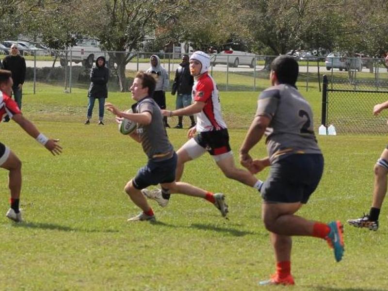 orlando tampe 2015