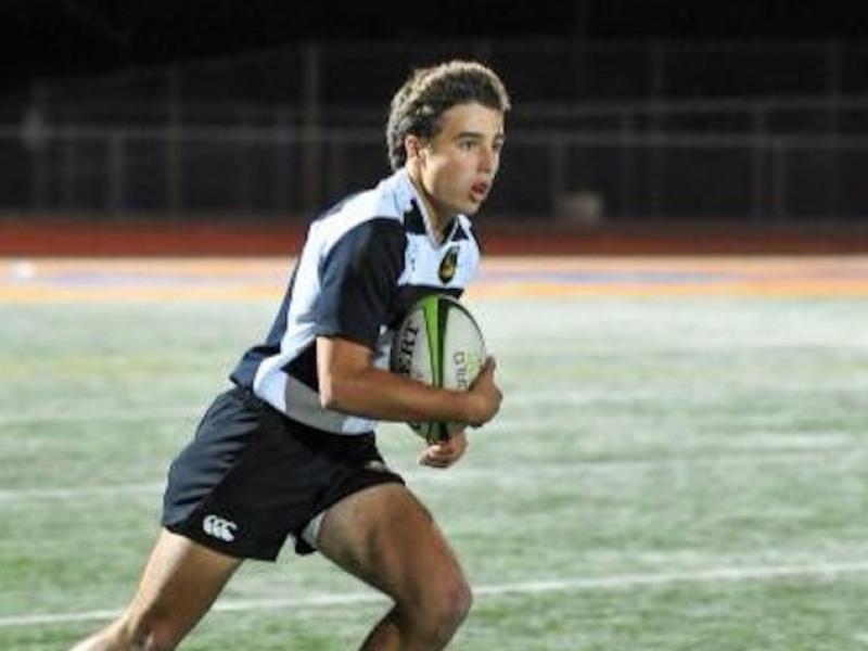 patrickmadden honey badgers