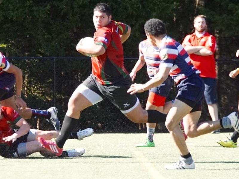 phoenixvsouthdoyle2016 2