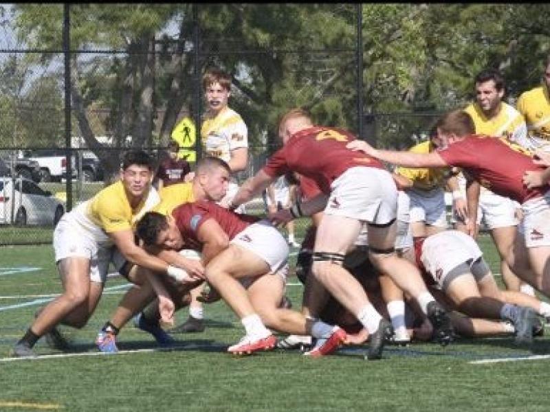 rowan vs salisbury