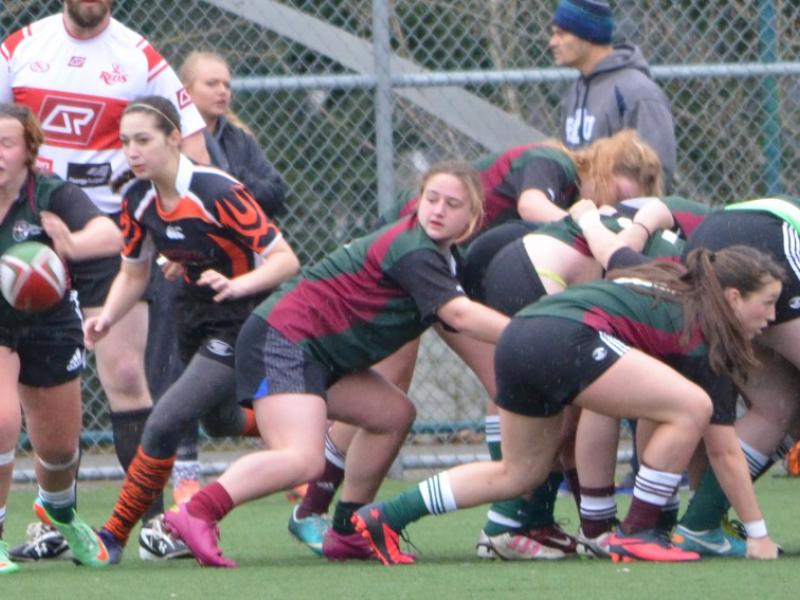 rugby 2014 466