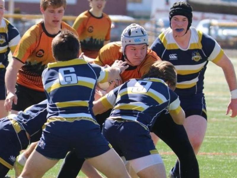 sederik saxon charlotte tigers 2021