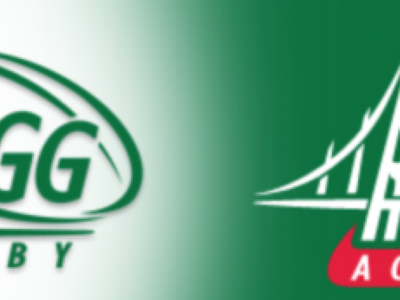 sfggacademylogo