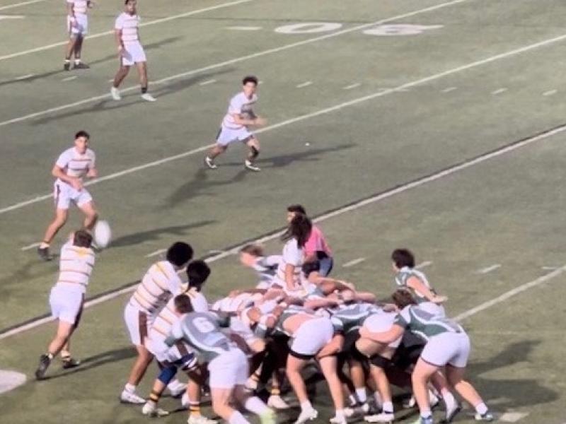st francis v dls 2023 2