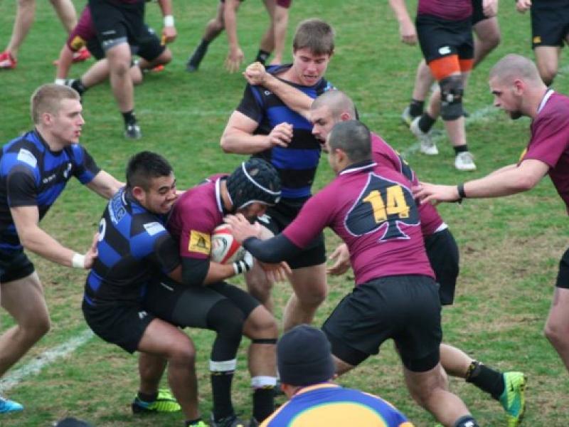 umd salisbury 2013 1