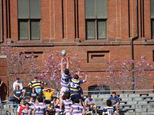 Lineout defense by Gonzaga. Photo William Seetch.