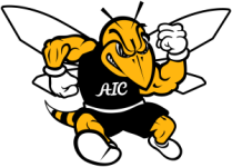 American International Yellow Jackets