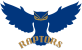 HCYA Raptors
