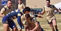 Navy in gold vs Cal. Photo David Hughes