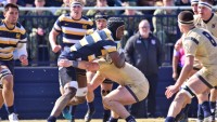 Navy in gold vs Cal. Photo David Hughes