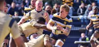 Navy in gold vs Cal. Photo David Hughes