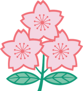 Japan National Team Logo
