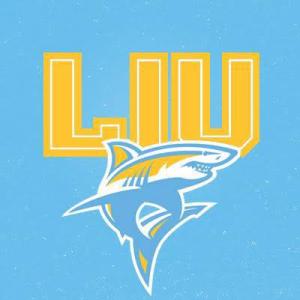 LIU Logo v2