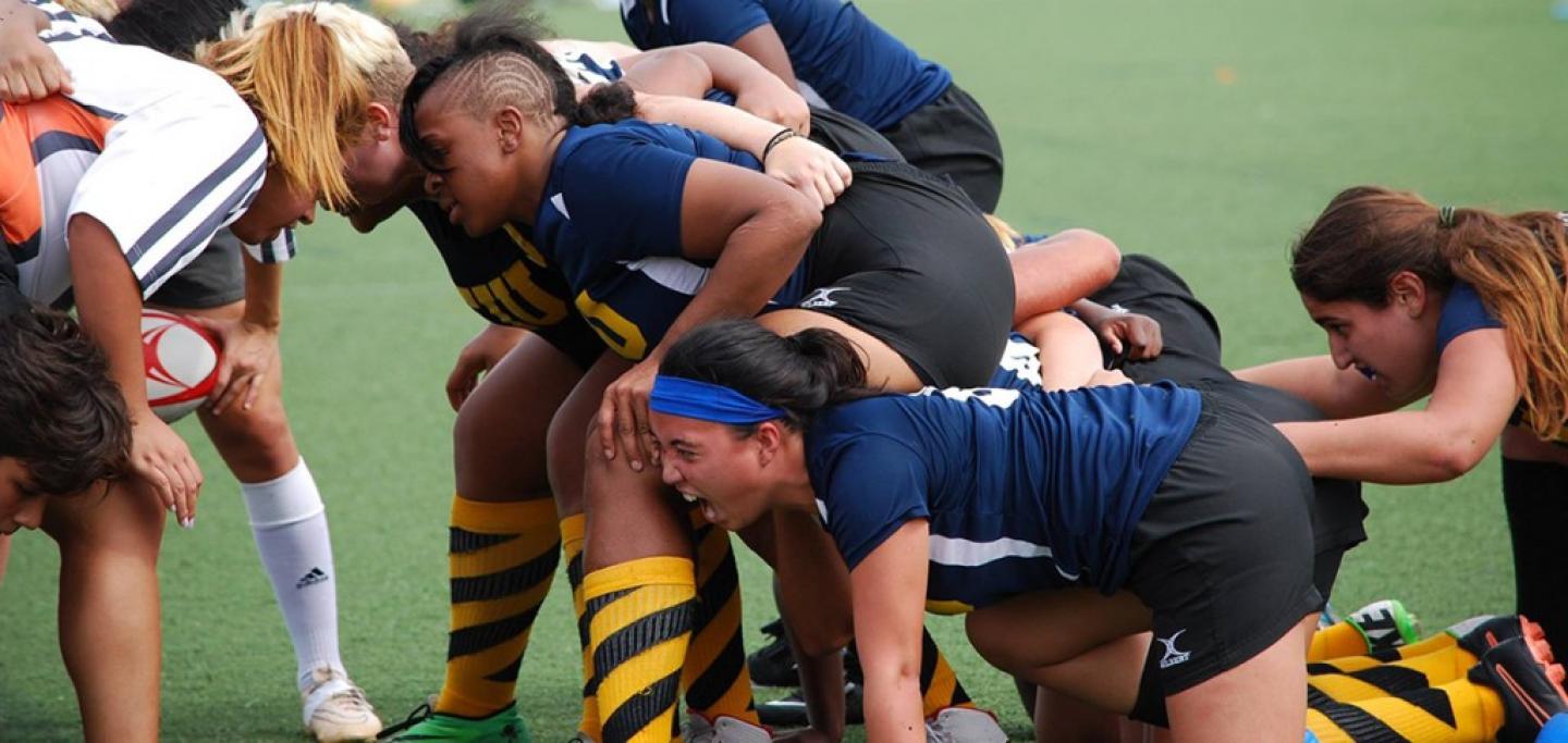 FIU fall2015