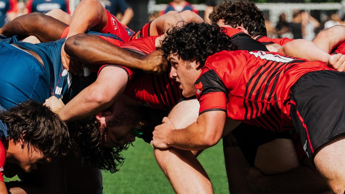 Northeastern scrums fall 2026.