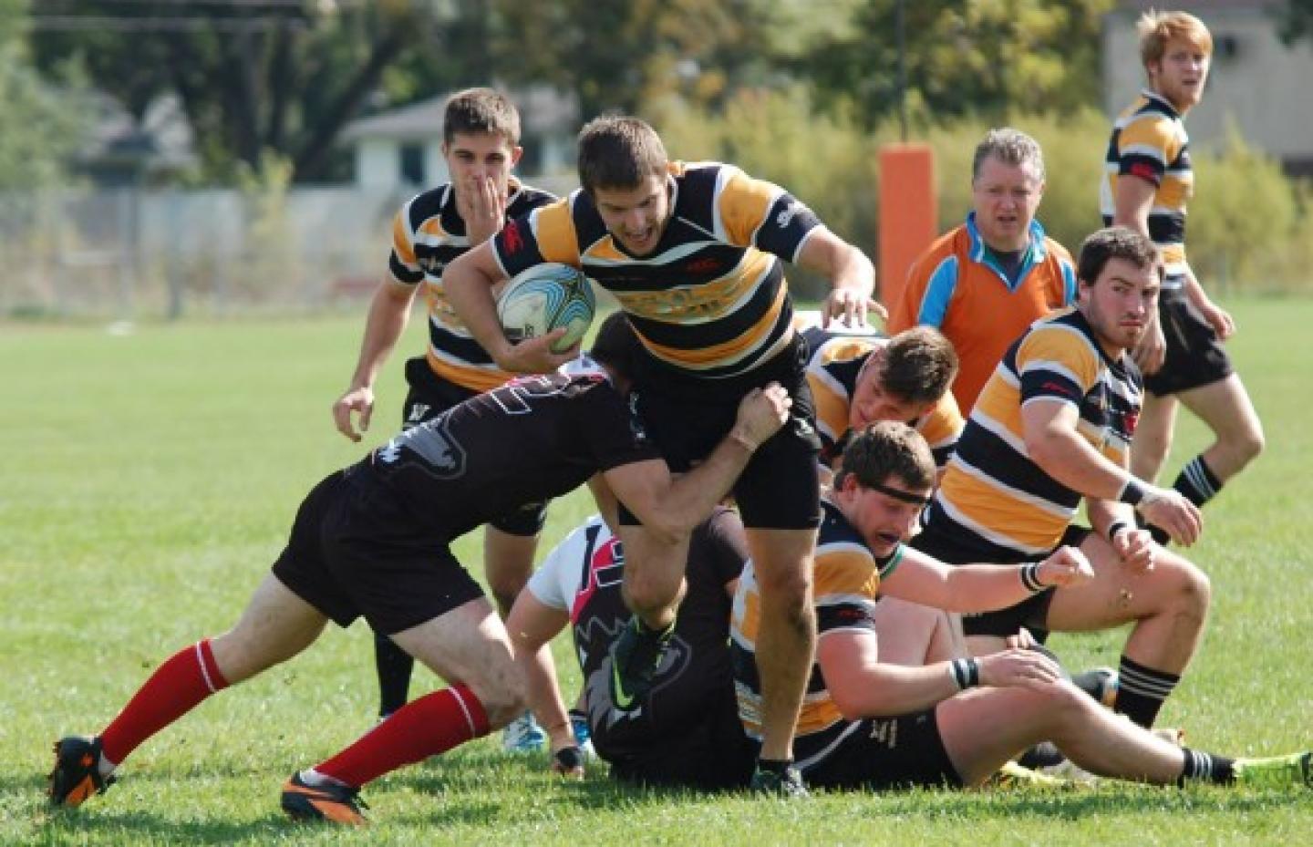 WMUvNIUOCt2014 0
