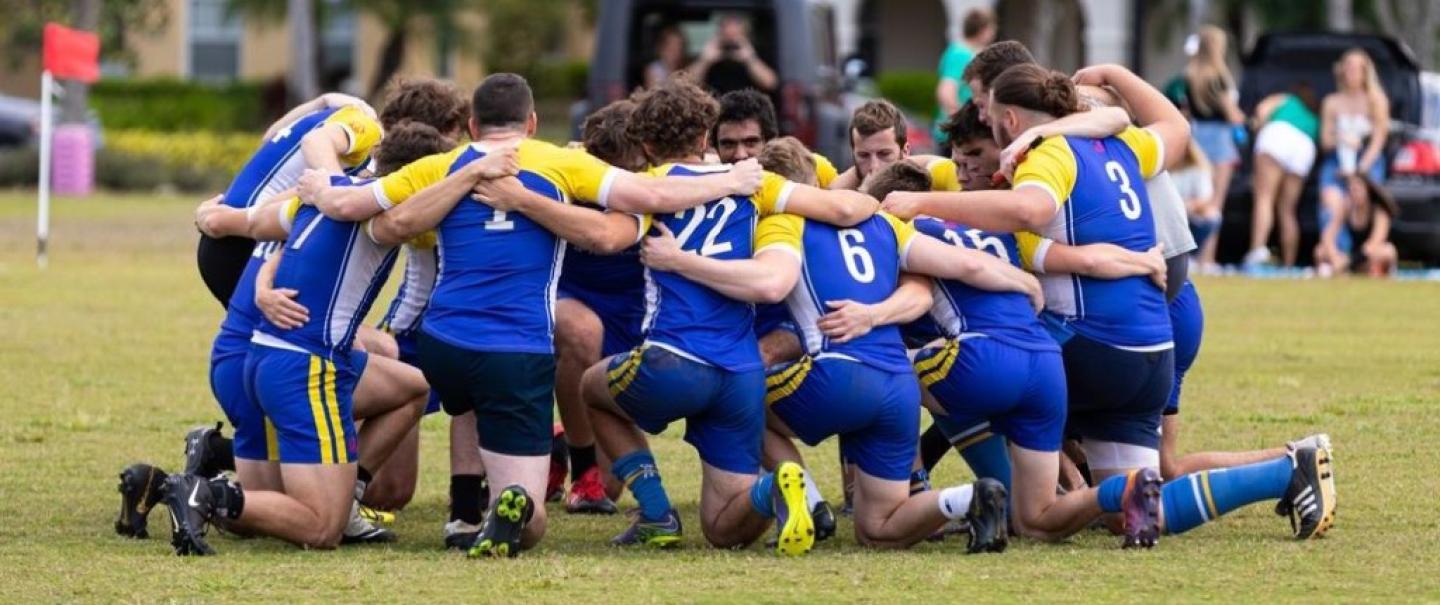 ave maria huddle