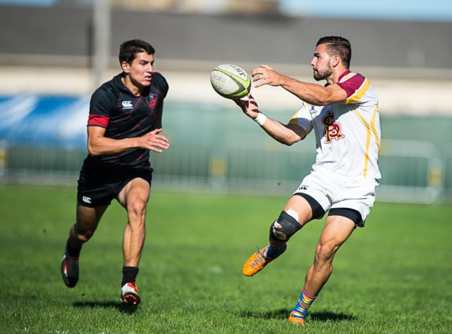 battleinbay arizonastate 2014 barpal 14