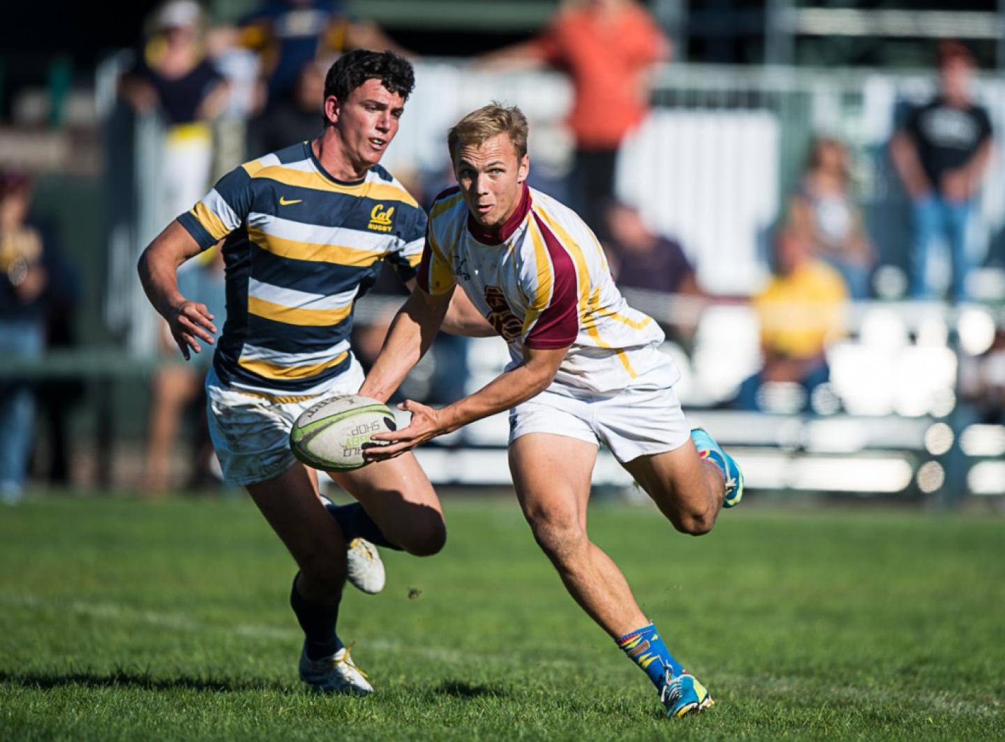 battleinbay arizonastate 2014 barpal 8