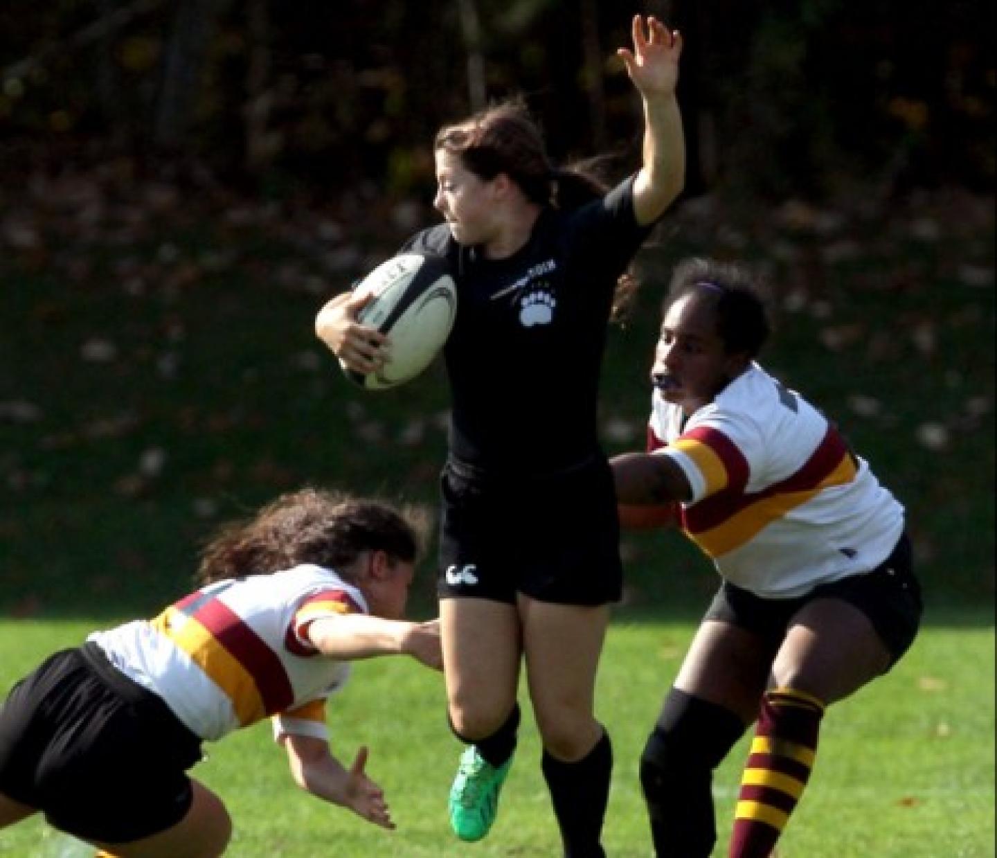 bowdoin