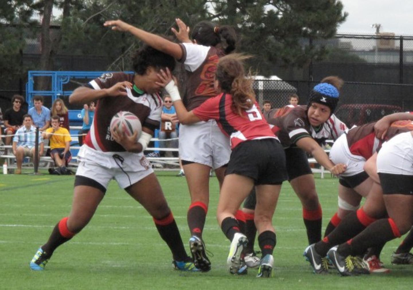 brown harvard ArielPeak 0