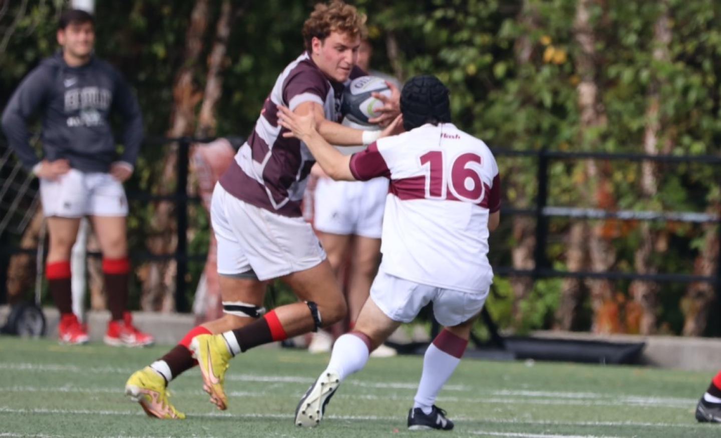 brown antonio esteves   brown rugby 0