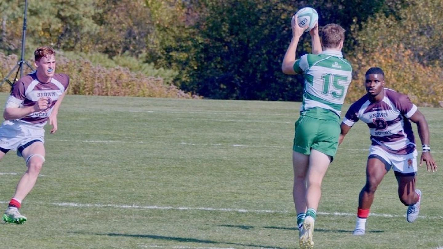 brown vs dartmouth 2025 3761