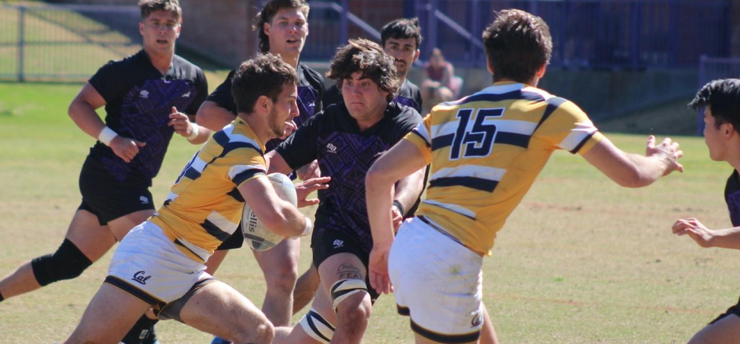 cal vs gcu 2024 photo gcu athletics 1