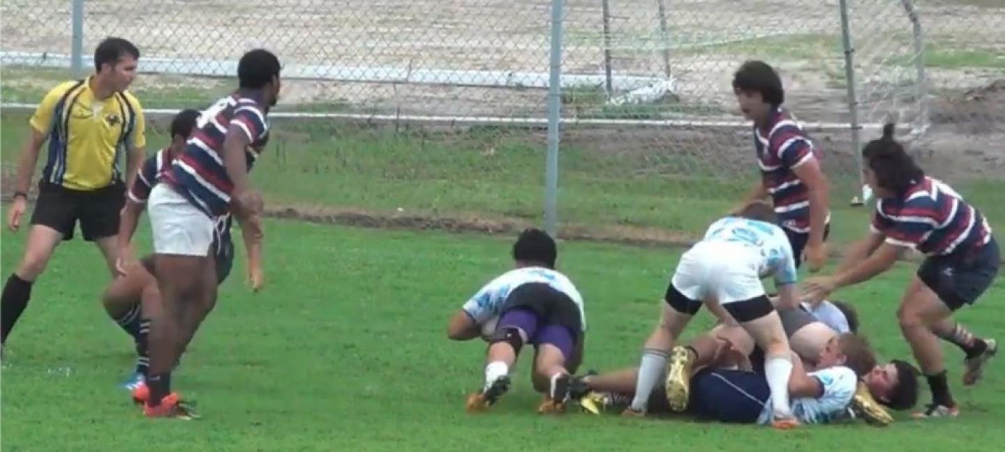 charlottejunioracademyscores