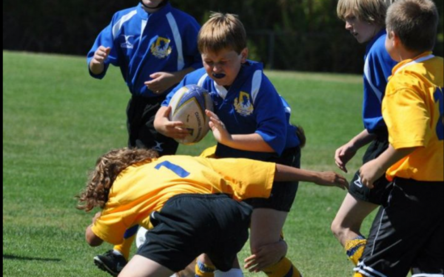 coastdragons 7s