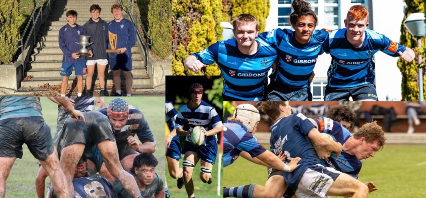 collage for site