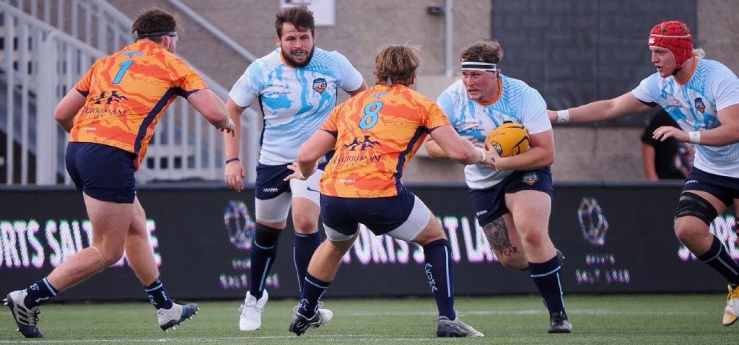 collegiate shield 2022   photo collegiate shield 3