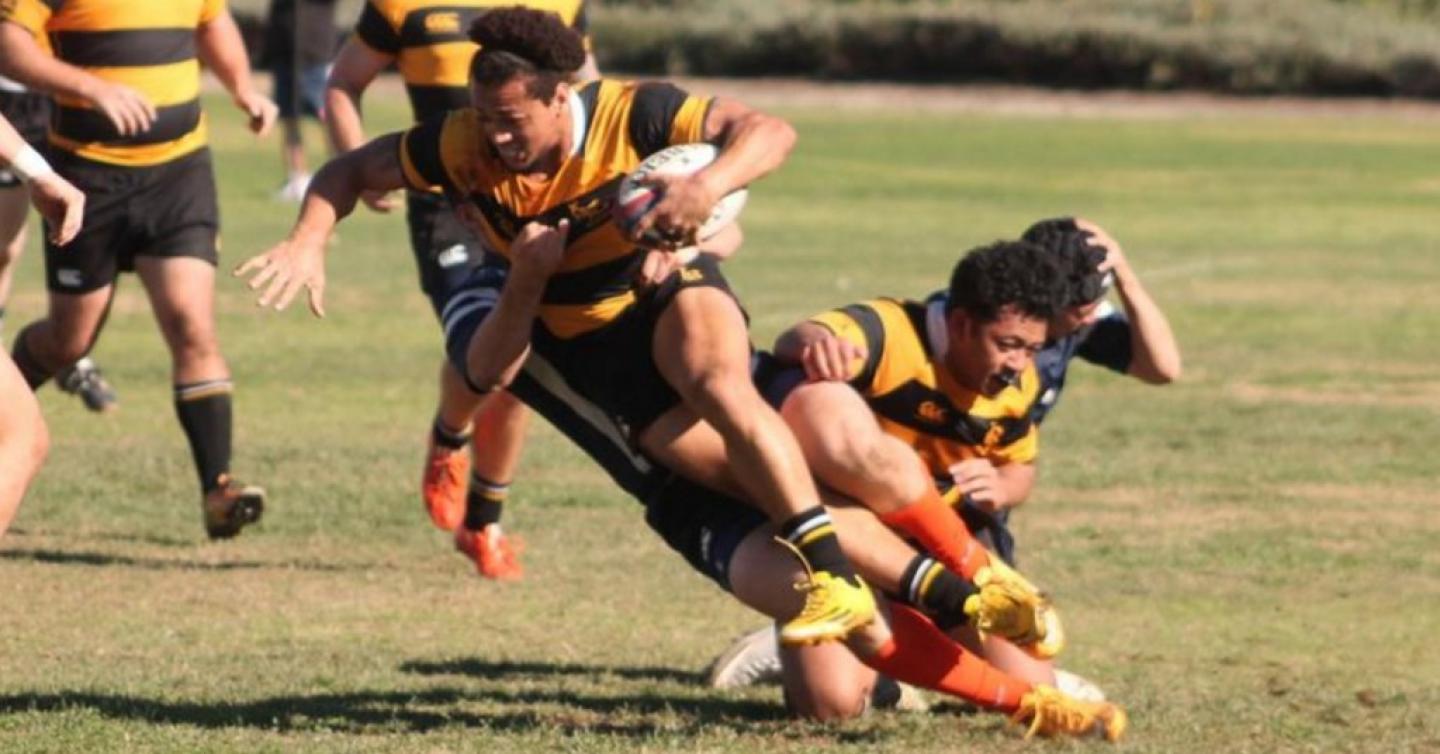 csulb 2016 2
