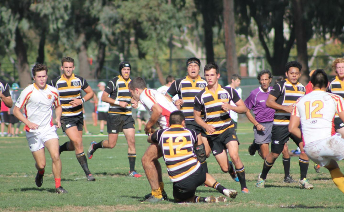 csulbvusc2015 2