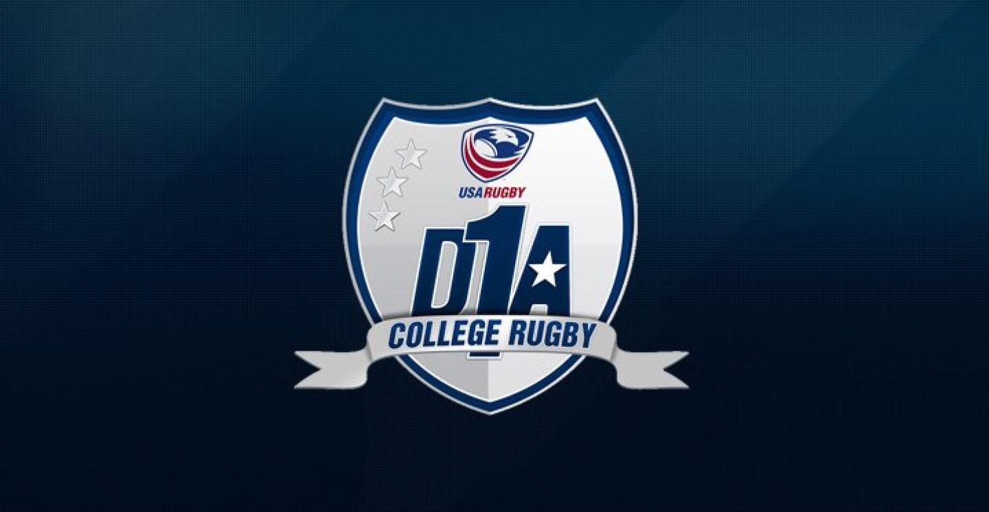 d1a logo